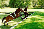 My fiancee Kevin and his Waler gelding Carranya  having fun!
Views: 1398
Rating: 4.6/5
Date: 06.02.04
280x184 (28.2 KB)